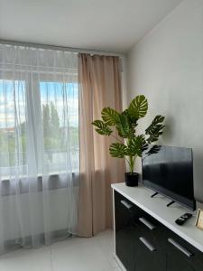 a living room with a tv and a large window at Apartament Mostowa in Brodnica