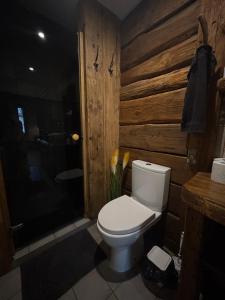a bathroom with a toilet and a wooden wall at Central & Quiet Cēsis Stay in Cēsis