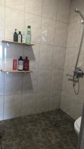 a bathroom with a shower with shelves and a toilet at Guest house in Ipnari