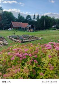 a field with pink flowers in front of a building at Kamienna Polana in Wapienne