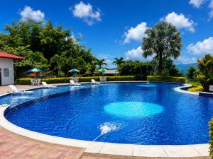 a large swimming pool with chairs and trees at Hotel Takuara in Vergara