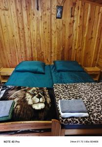a bedroom with a bed with a cat on it at Kamienna Polana in Wapienne