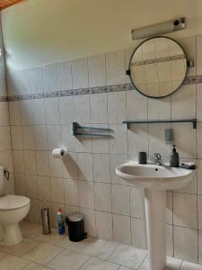 a bathroom with a sink and a toilet at Le paradis créole in Sainte-Luce