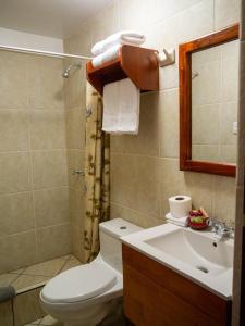 a bathroom with a toilet and a sink and a mirror at Hotel Tambo del Valle in Urubamba +28 photos