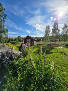 a garden with flowers in front of a house at Stockboden Kvarken Off Grid Cabin No Electricity or Running Water in Oravais
