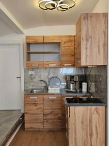 a kitchen with wooden cabinets and a sink at Airport Apartment II in Surčin