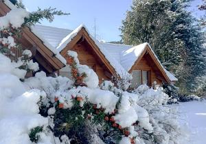 a house covered in snow in front of it at Tillka - Casas de Montaña in Villa La Angostura +59 photos