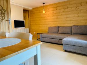 a living room with a couch and a tv at Orla Przystań in Gliczarów Górny