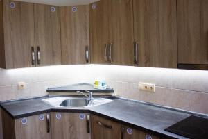 a kitchen with a sink and wooden cabinets at Zámek Dobrohoř in Dobrohoř +56 photos