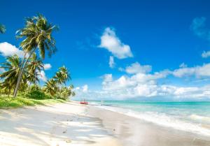 Beach sa o malapit sa holiday home