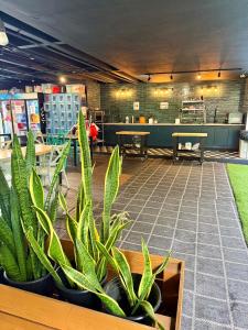 a room with potted plants and benches in a store at Polynesian Hostel Beach Club in Honolulu