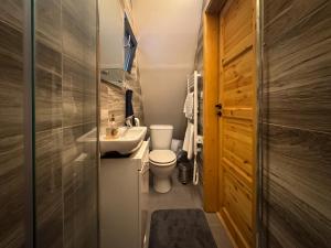 a small bathroom with a toilet and a sink at Chata Pod Dubem Kameňák in Moravany +17 photos