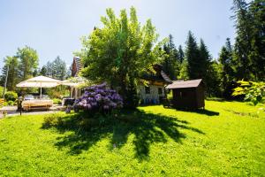 a yard with a house and a tree with purple flowers at Zajazd Józef Domki przy szlaku do Doliny Chochołowskiej i Lejowej, 850m od Doliny Kościeliskiej in Witów