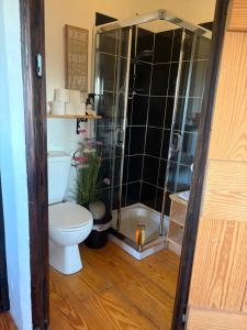 a bathroom with a toilet and a glass shower at THE FARMHOUSE Room 1 in Balcunnin
