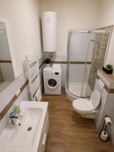 a bathroom with a toilet sink and a washing machine at Apartment Hofacker in Pernegg an der Mur +39 photos