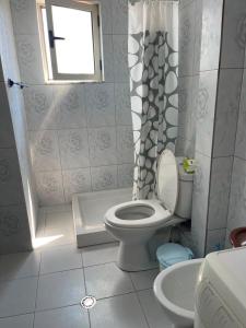 a bathroom with a toilet and a shower at Pogradec Lakefront Apartment in Pogradec