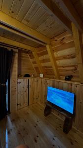 a living room with a flat screen tv in a wooden ceiling at Villa Komarnica Hideaway in Šavnik