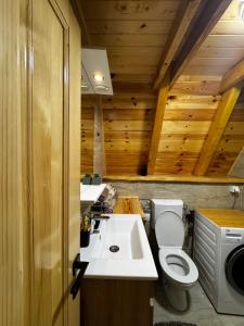 a bathroom with a toilet and a sink at Villa Komarnica Hideaway in Šavnik +24 photos