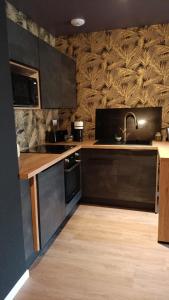 a kitchen with black cabinets and a sink at L'Avant-Première Chic 40m2 with Parking in Évreux +10 photos
