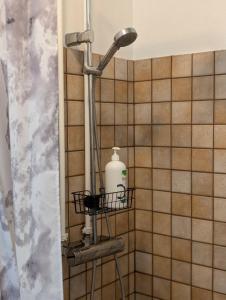 a shower in a bathroom with a bottle of soap at Studio apartment in countryside in Selfoss +28 photos