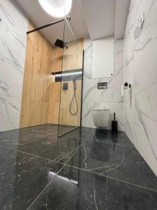 a bathroom with a shower with a toilet in it at Apartament Słowik Lux in Rowy
