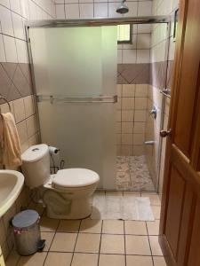 a bathroom with a shower and a toilet and a sink at La casa de MR in Sarapiquí