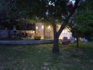a house with a tree and a hammock in the yard at Pergola Garden in Nikšić +10 photos