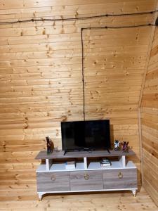 a living room with a tv on a wooden wall at ჰარმონია Harmony Cottage in Ambrolauri