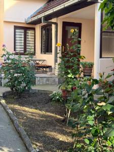 a house with some plants in front of it at Loret in Kragujevac