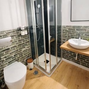 a bathroom with a shower and a toilet and a sink at Kariokas Hospedagem in Águeda