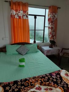a bedroom with a green bed with a large window at Margaret's Himalayan Nest in Kalimpong