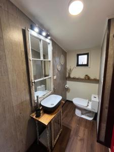 a bathroom with a sink and a toilet at Casita Loica in Chaitén