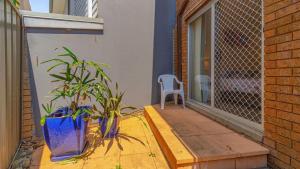 a patio with two plants and a chair on a porch at Lighthouse Unit 1 - Lifestyle Yamba in Yamba +3 photos