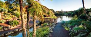 un pont sur une étendue d'eau avec des palmiers, dans l'établissement The Gardens Bed and Breakfast, à Auckland