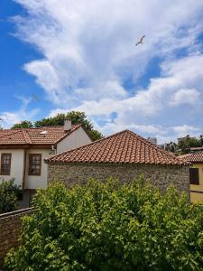 a flock of birds flying over a house at White City Pension in Antalya