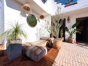 a living room with a couch and potted plants at Farissi's Zawya Surf House in Aourir