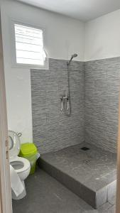 a bathroom with a shower and a toilet at Villa SCAYOU in Pointe-Noire