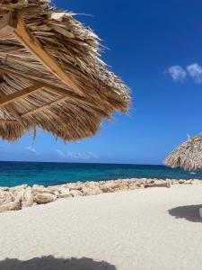 a beach with a straw umbrella and the ocean at Dushi Blou, private monumentje in Otrabanda in Willemstad