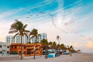 a flock of birds flying over a beach with palm trees at Cozy studio in Hollywood 101 - 1 in Hollywood