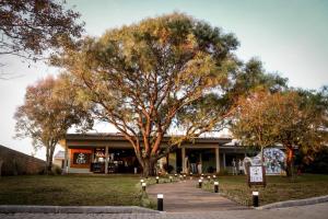 a tree with lights in front of a building at Éden jardim in Guarapuava +14 photos