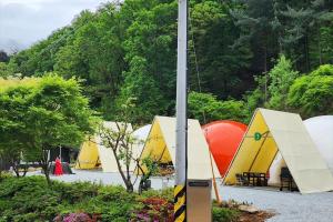 a group of tents parked in a parking lot at Wonju Forest Dome in Wonju