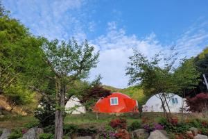 a red and white tent in a field with trees at Wonju Forest Dome in Wonju