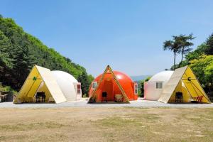 a group of domes and tents in a field at Wonju Forest Dome in Wonju