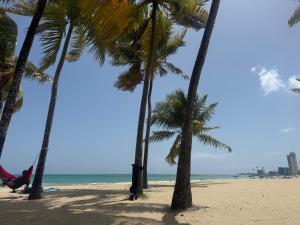 a group of palm trees on a beach with the ocean at The Cozy Beach Studio in San Juan