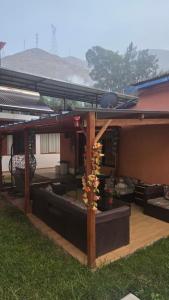 a house with a patio with a plant in the middle at La casona de aquiles in Palle Nuevo +15 photos