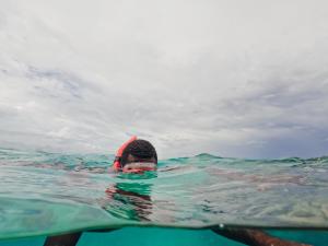 a person in the water in the ocean at Black Pearl Resort in Espiritu Santo