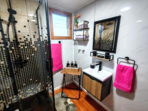 a bathroom with a shower and a sink and a mirror at Julieta House in Puerto Natales +20 photos