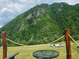 a view of a mountain with a rope at Camping Inima Retezatului in Nucşoara