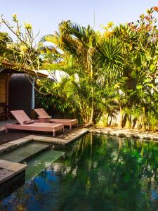 a swimming pool with two benches and palm trees at Joglo Villa with Private Pool in Pesanggaran
