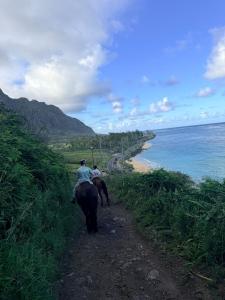 two people riding horses on a path near the ocean at Wake Up to the Ocean - Beachfront Studio in Hauula